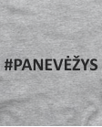 Panevėžys Panevėžys